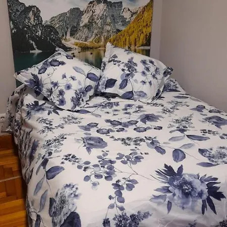 公寓 Apartamentos Vigo 比戈