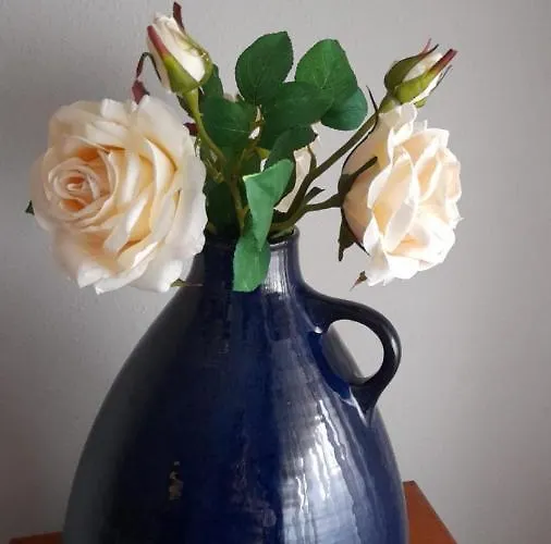 Апартаменты Apartamentos Vigo *